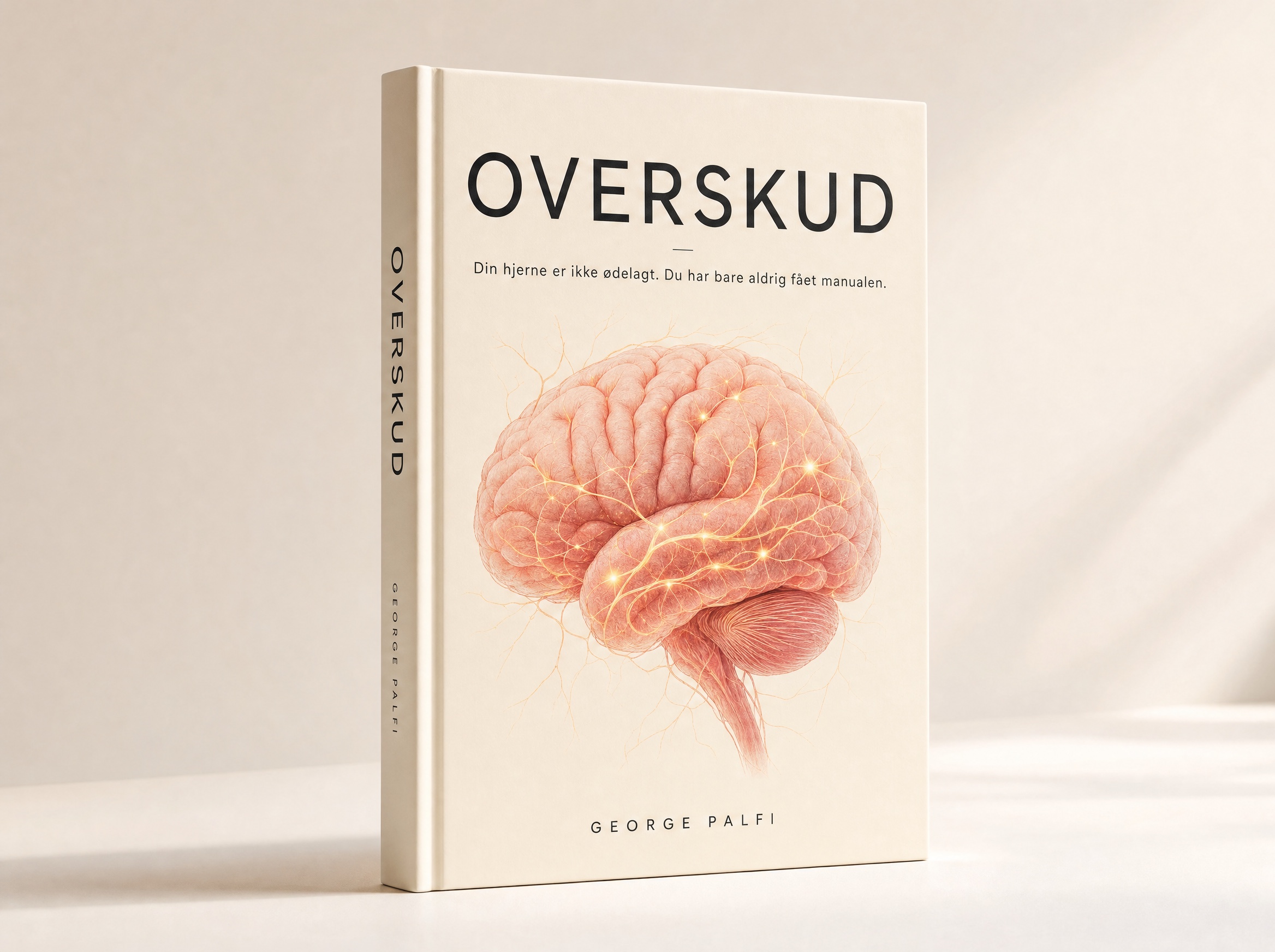 Bogen OVERSKUD af George Palfi